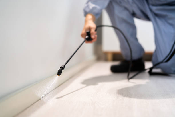 Licensed Ant Control service in Trafalgar, IN - Show Me Pest Control