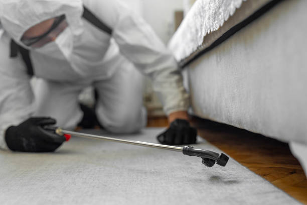 Professional Ant Control technician working in Trafalgar, IN