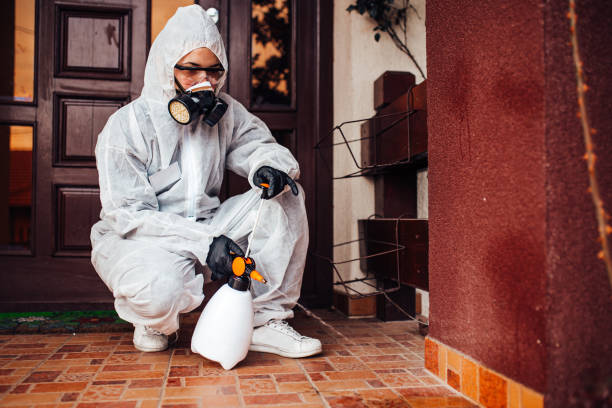 Reliable Ant Control contractor in Trafalgar, IN by Show Me Pest Control