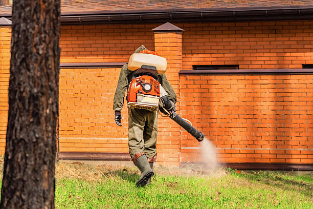 Top rated local Ant Control specialists in Trafalgar, IN